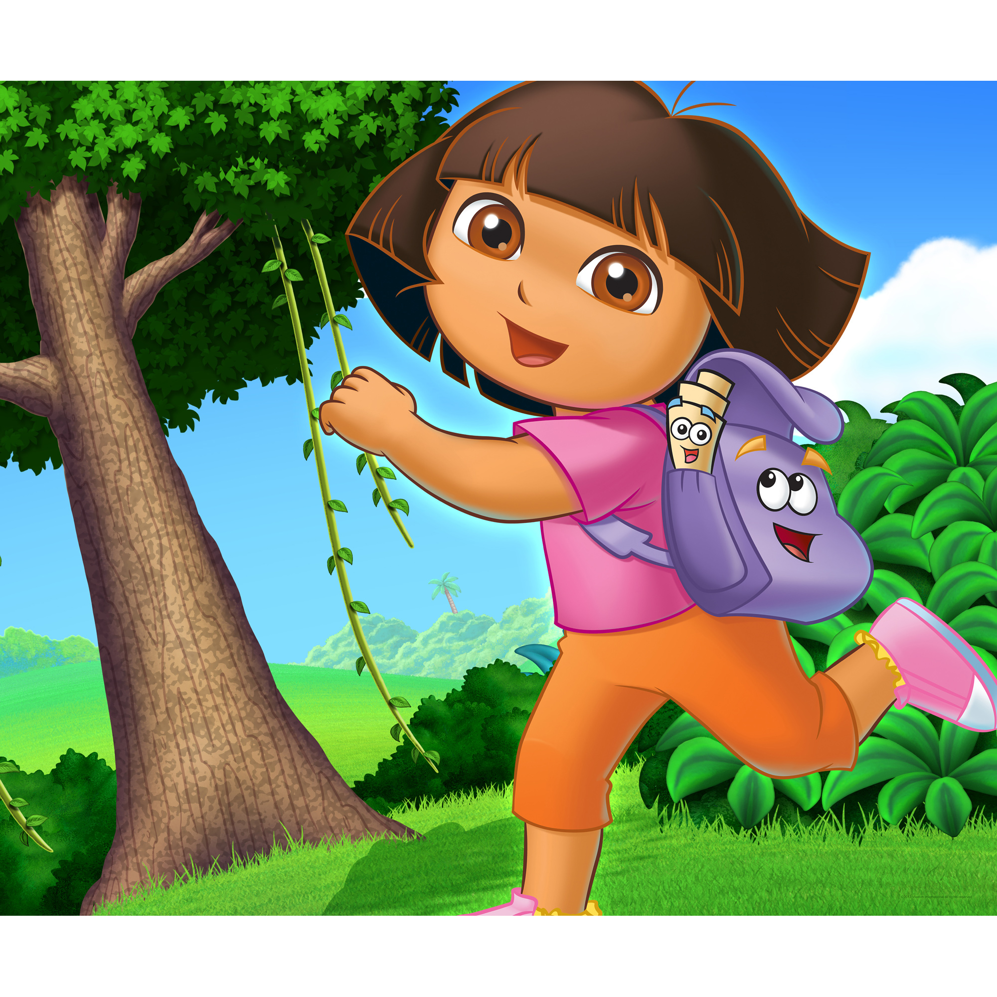 Dora The Explorer Room Divider Screens and Wall Art