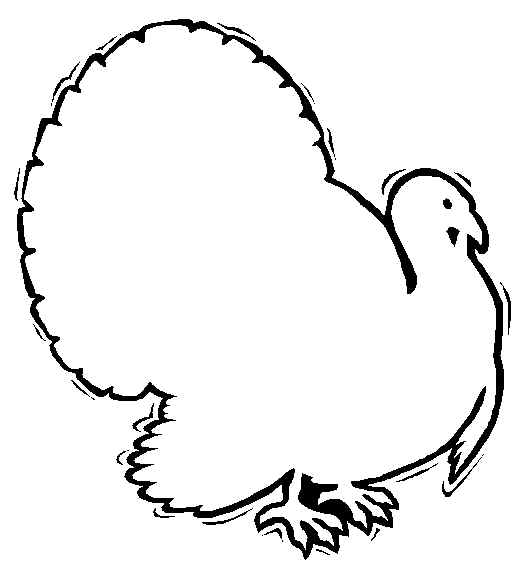 Turkey Feather Outline Clipart Images & Pictures - Becuo