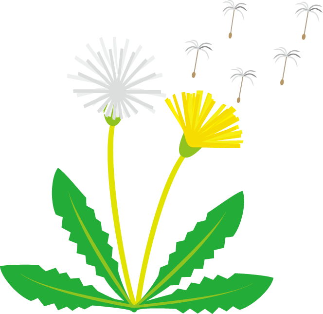 Barracudas And Dandelions Clipart And Small Business Finance ...