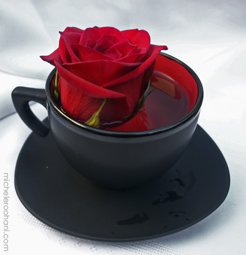 20+ Stunning Red Rose Photography | creativemisha