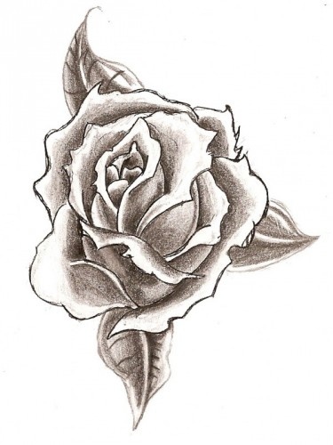 Easy Pencil Drawings Of Flowers | Pencil Drawings Of Flowers Art ...