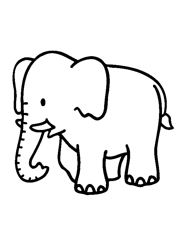 Elephant Images For Kids