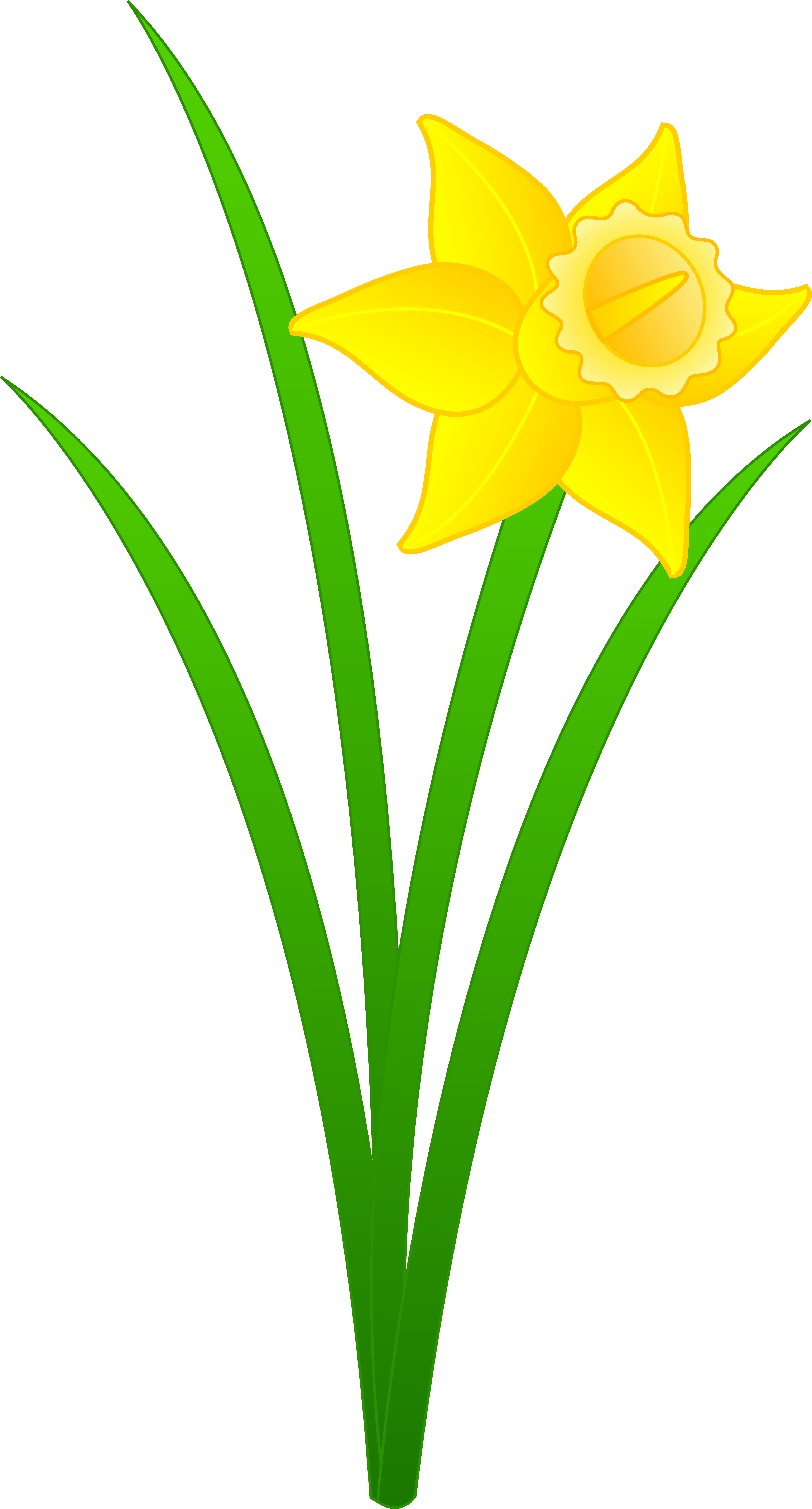 Daffodil Flower Clip Art | Clipart Panda - Free Clipart Images