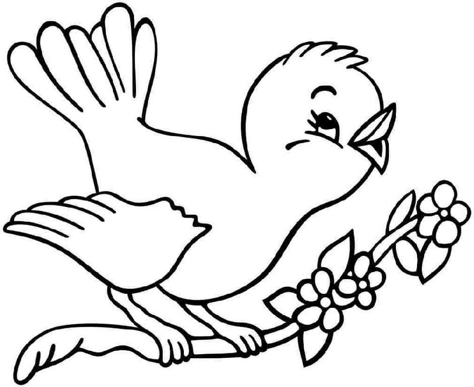 Bird Coloring Pages For Girls