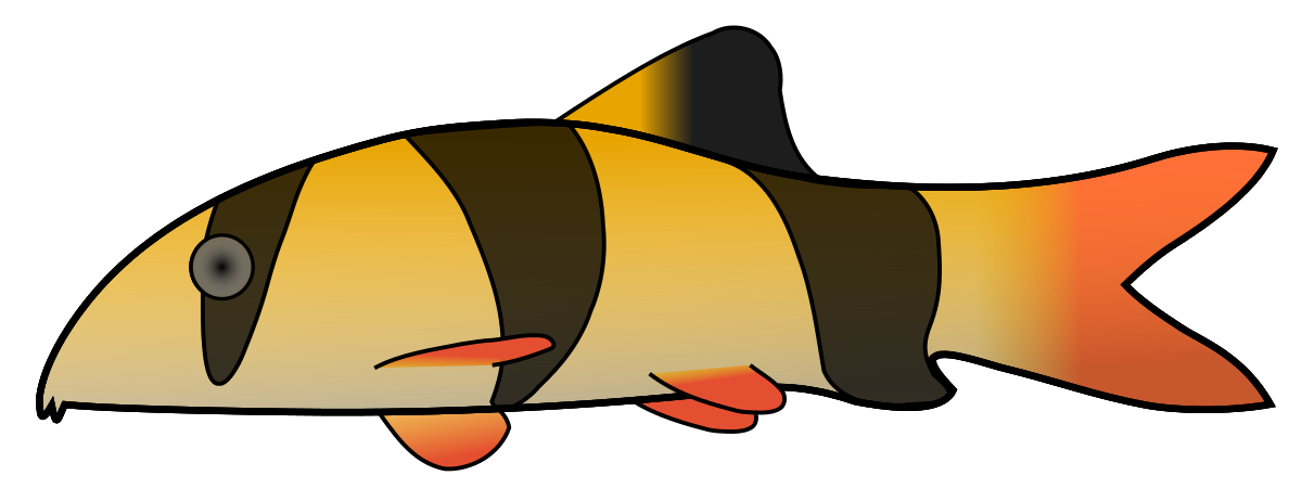 Clown Loach Clipart by Anonymous : Love Cliparts #13025- ClipartSE