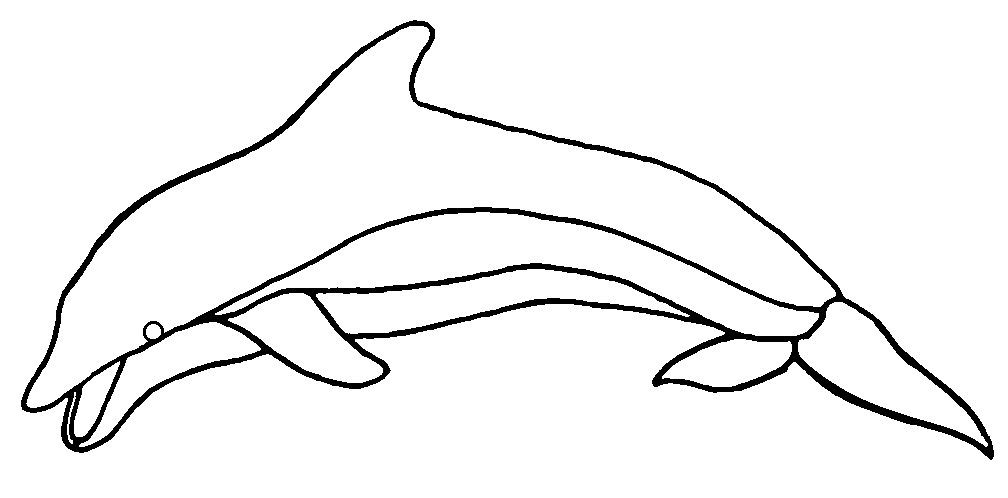 Dolphin Stained Glass Stepping Stone Pattern Patterns