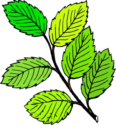 Green Leaves Clip Art | Clipart Panda - Free Clipart Images