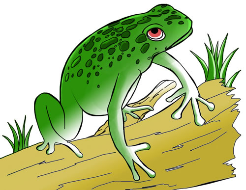 FREE Frog Clip Art to Download: Frog 13