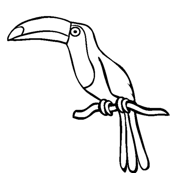 Toucan Bird Coloring Page - Animal Coloring pages of PagesToColor ...
