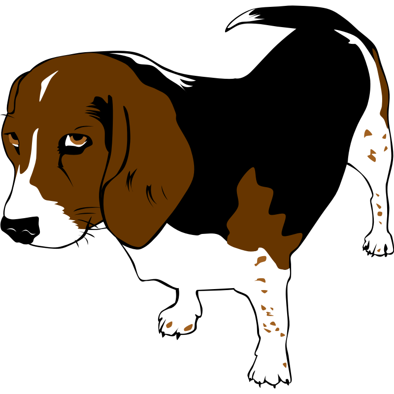 Clipart - Copper the Beagle