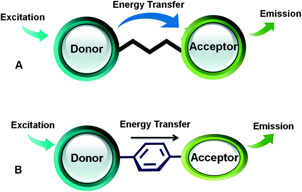 photosynthesis-gif-cliparts-co