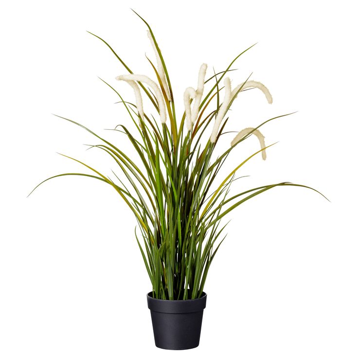FEJKA Artificial potted plant, grass