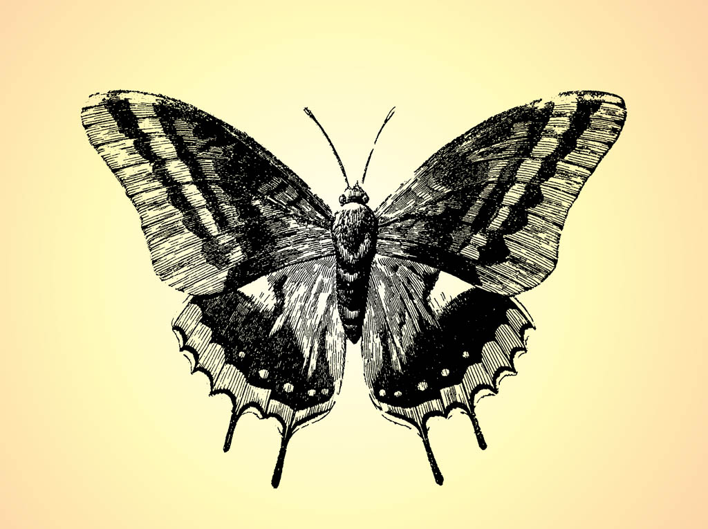 Free Butterfly Vectors - 2. Page