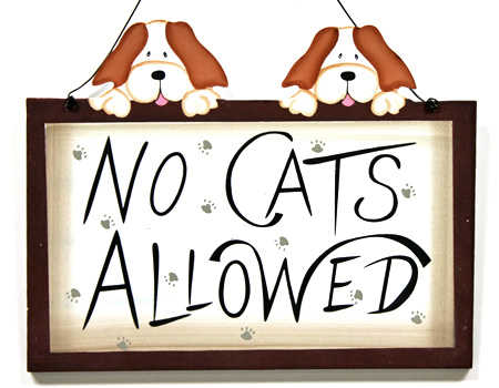 NO CATS ALLOWED" Sign - Signs & Ornaments - Home Decor