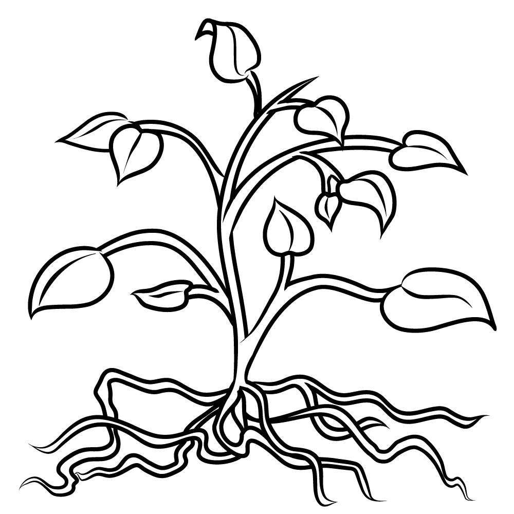 Flower With Roots Clipart | Clipart Panda - Free Clipart Images