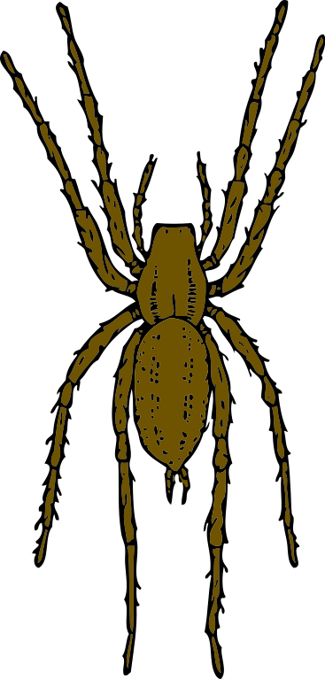 Free to Use & Public Domain Spider Clip Art