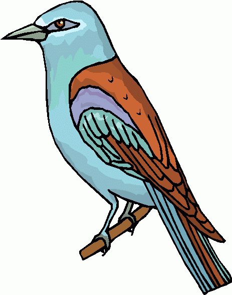 clipart images of birds - photo #49