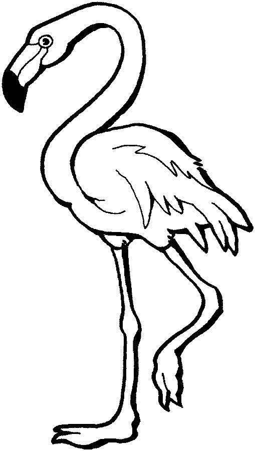 Flamingo clip art | Clipart Panda - Free Clipart Images