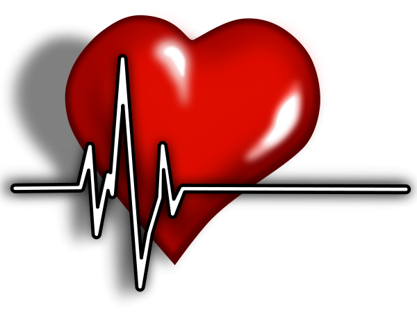 Heart ECG Logo small clipart 300pixel size, free design - ClipartsFree