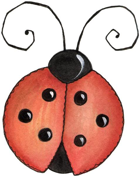 ladybugs graphics and comments
