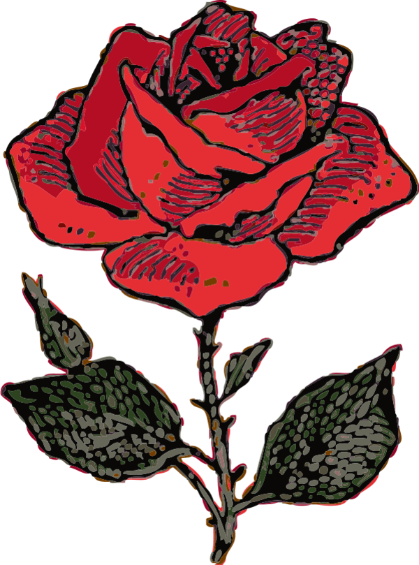 Rose Flower - vector Clip Art