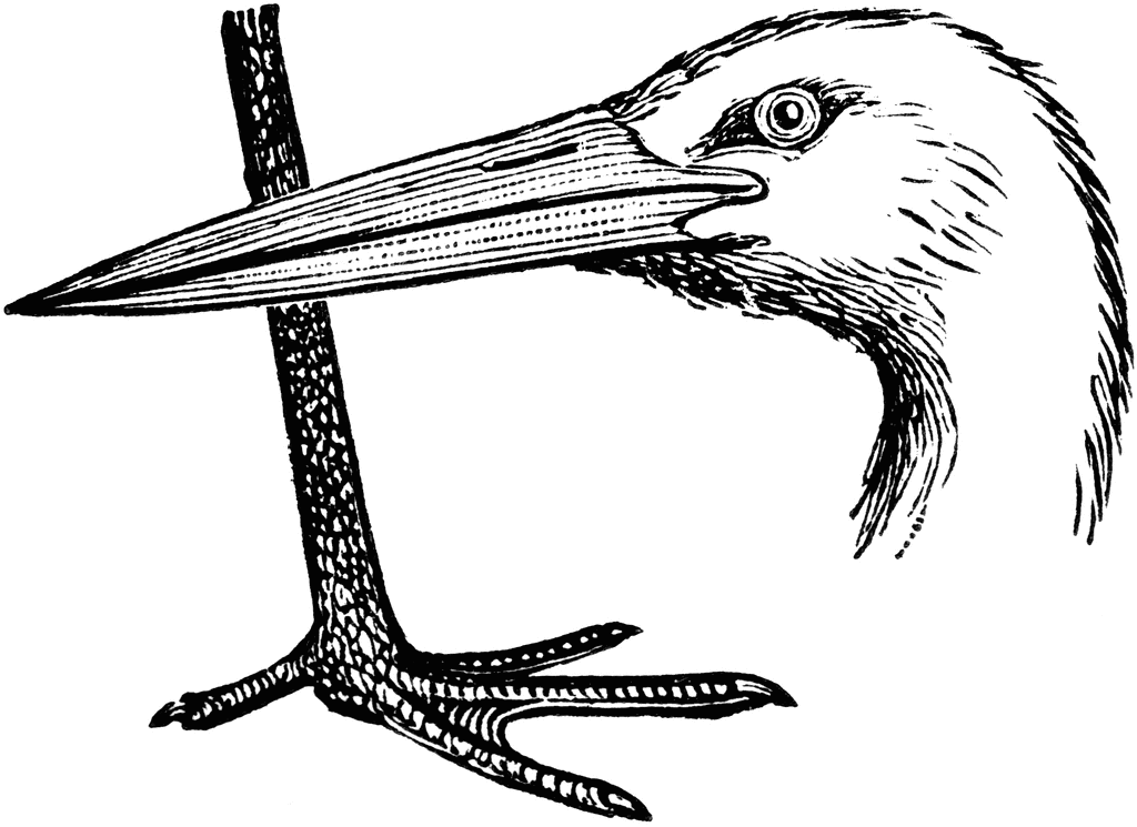 Stork Head and Leg | ClipArt ETC