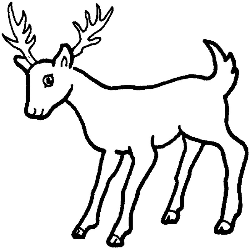 Coloring Pages Of Deer | Best Coloring Pages