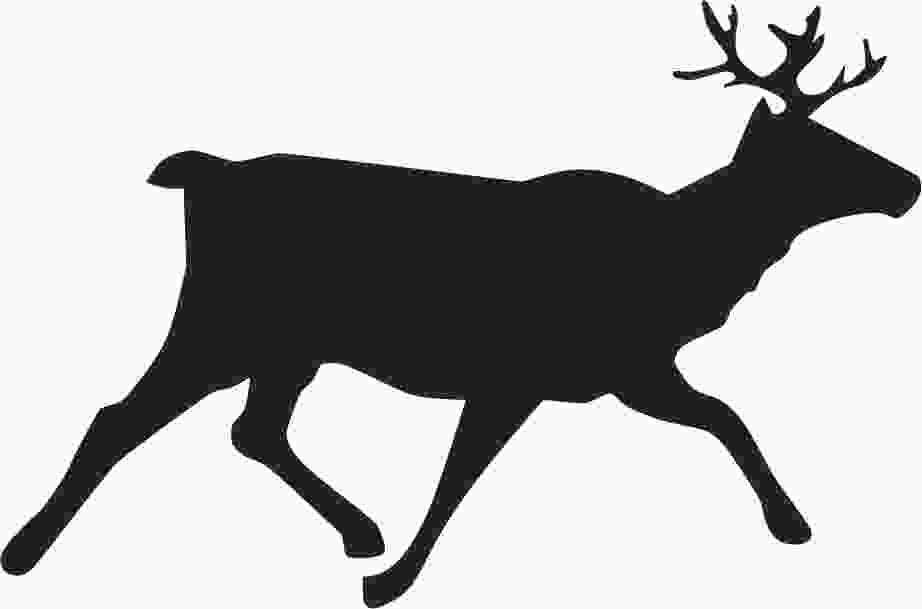Permanent Collection Tattoos Outline Red Deer Clip Art Tattoo