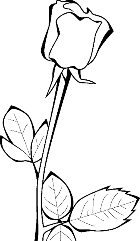 Flowers Roses Coloring Pages : Roses Flowers Coloring Pages. Rose ...
