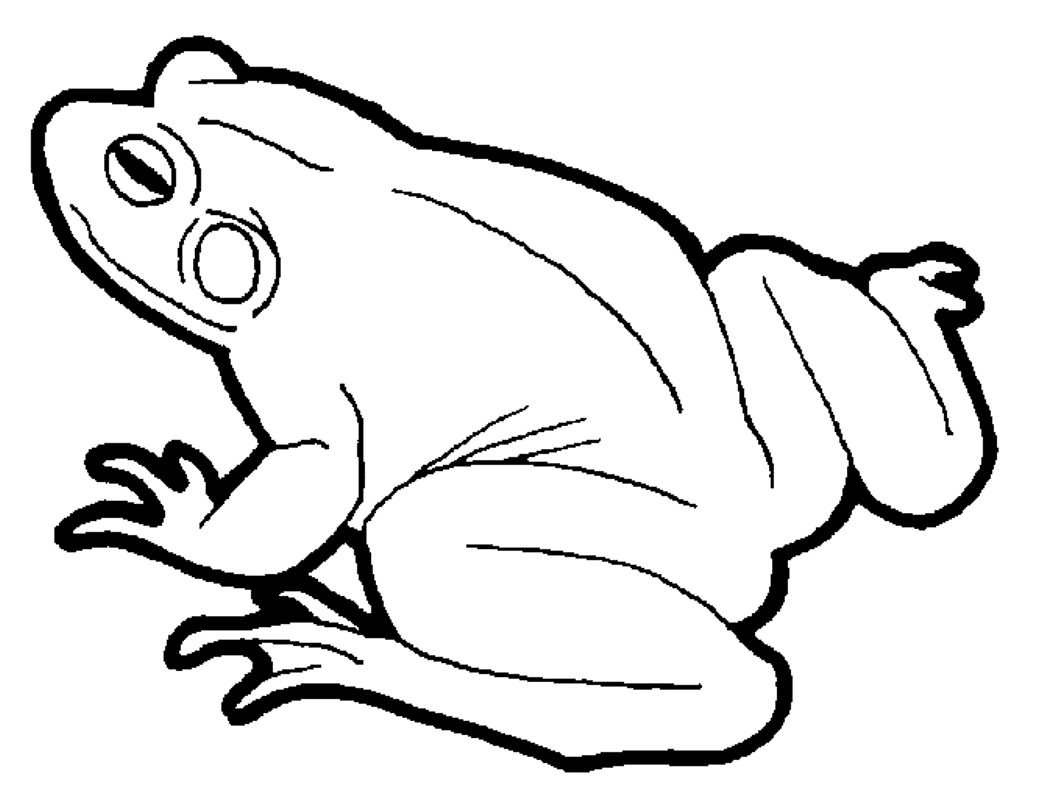 Download Frog Coloring Pages For Kids Free Or Print Frog Coloring ...