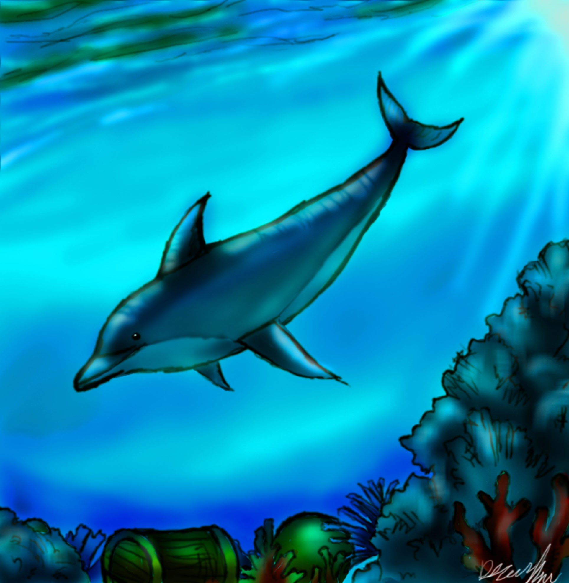 Cute Dolphin Drawing - HD Photos Gallery
