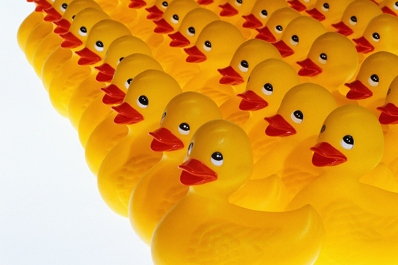 Leadership and Community | Rows of Rubber Ducks