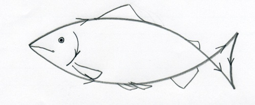 Fish Drawing - Gallery