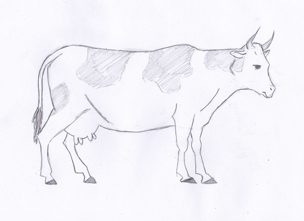 Learn How to Draw a Cow Step by Step | Lesson For Kids & Beginners