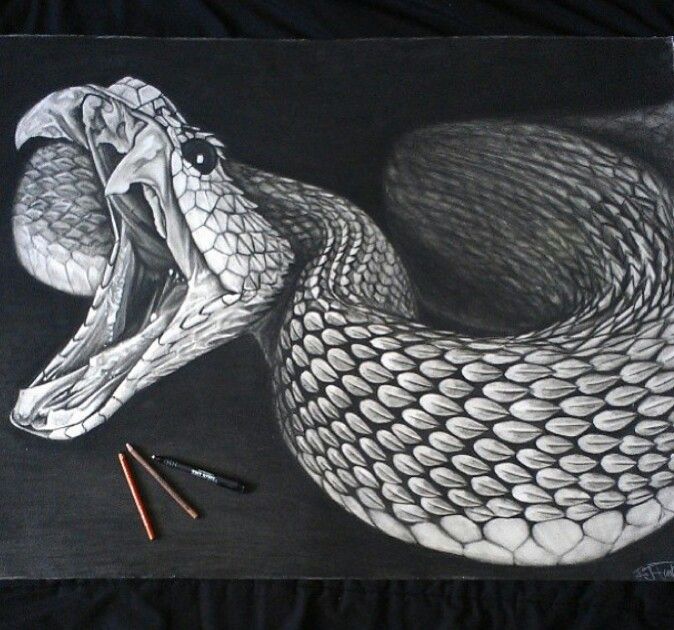 Snake Drawing | Artwork Phenom | Pinterest