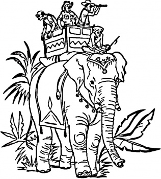 Indian Elephant Drawing - ClipArt Best