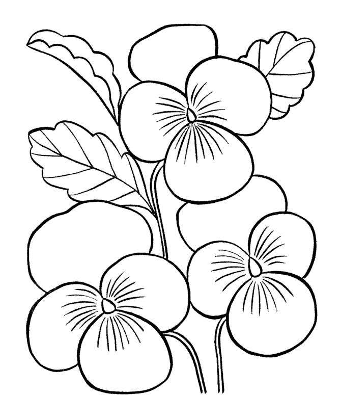 Flower Coloring Pages To Print - Drawing Kids