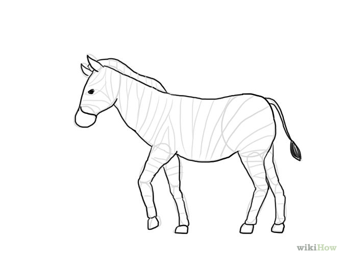 How to Draw a Zebra (with Pictures) - wikiHow
