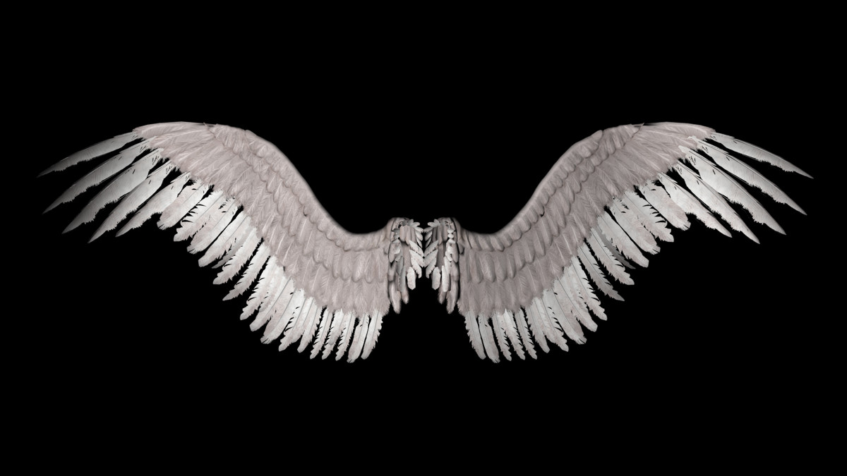 Wings: white angel 02 by elisafox-stock on DeviantArt