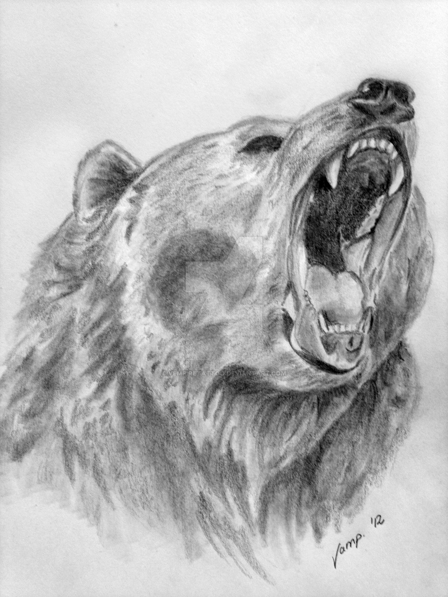 DeviantArt: More Like realistic bear drawing by VempireTattoo