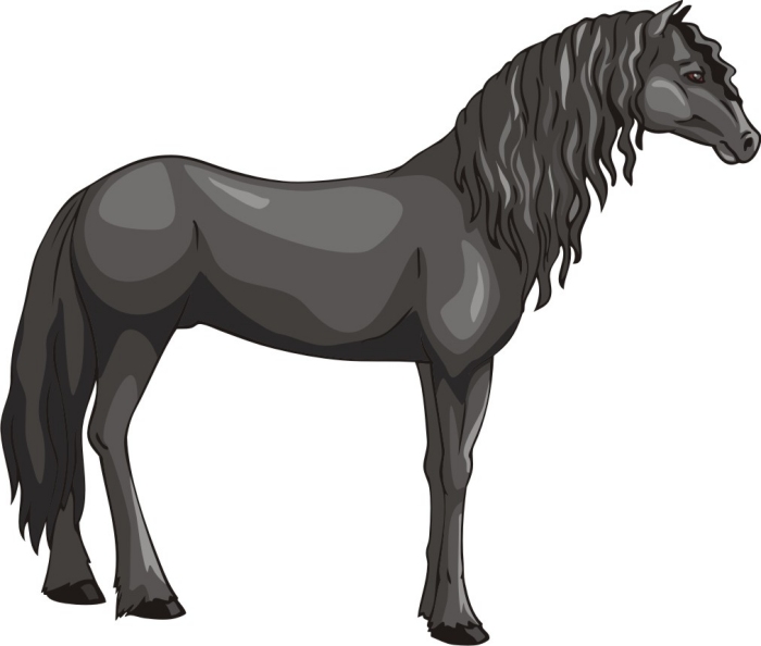 Free Horse Vector Graphics #3 - The Friesian Horse