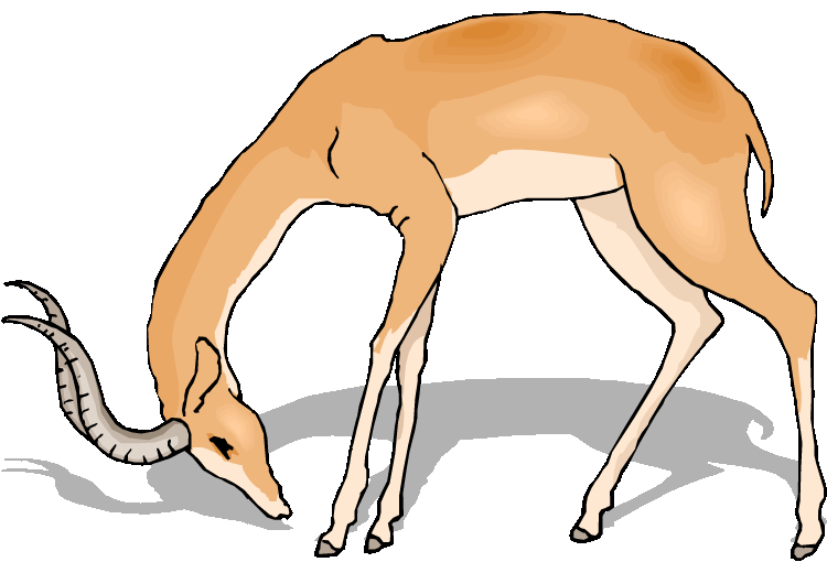 Free Gazelle Clipart - Cliparts.co