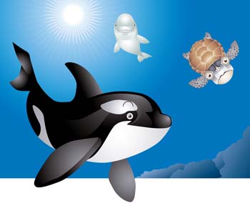 Cartoon Killer Whale Vector - Download 1,000 Vectors (Page 1 ...