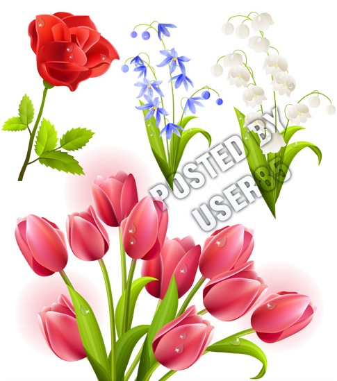 Spring flowers vector | Free Vector Graphics & Art Design Blog