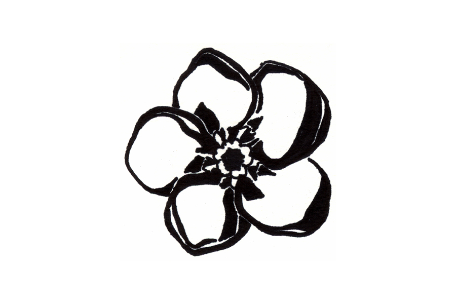 Forget Me Not Flower Clip Art Cliparts Co