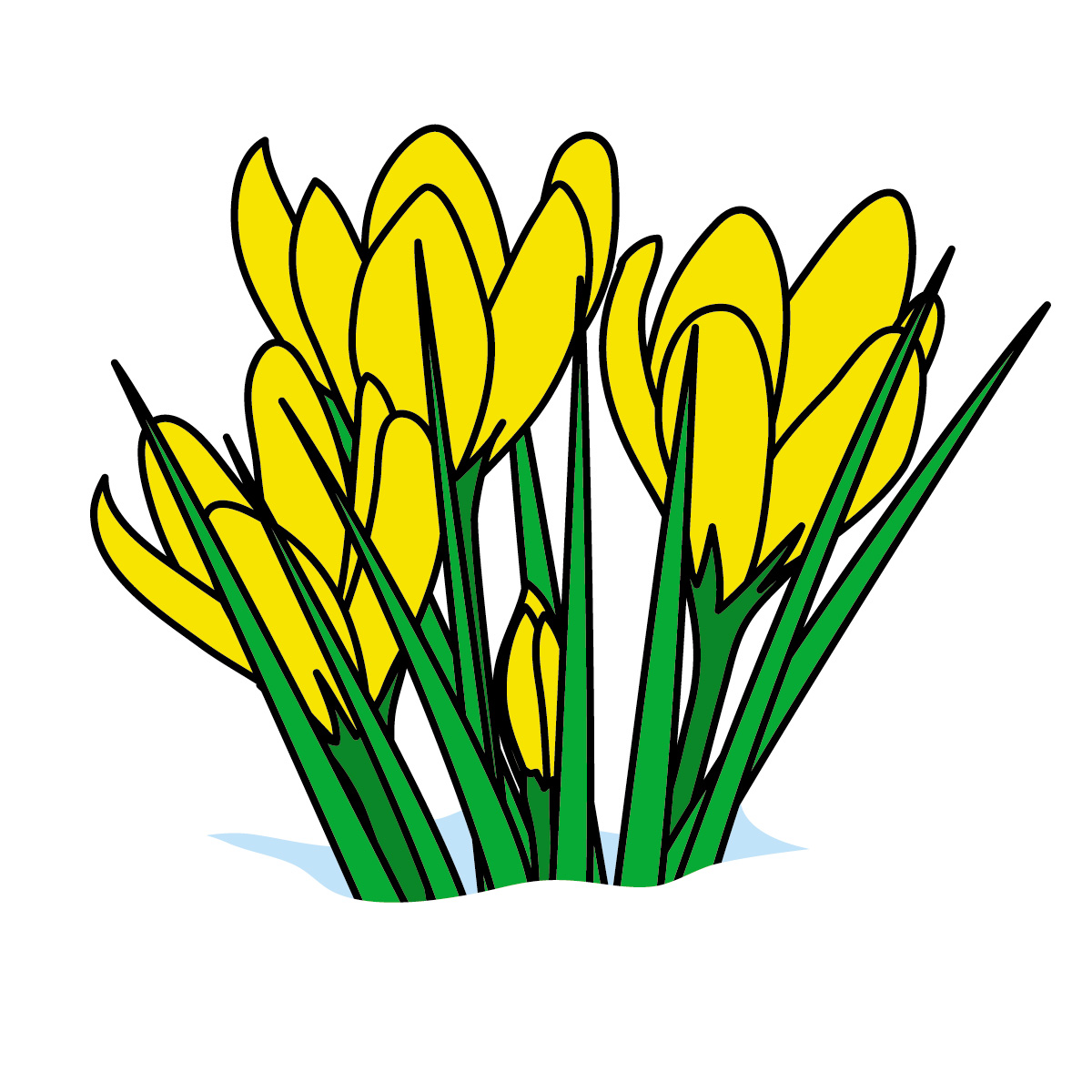 Trends For > Spring Flowers Clip Art Border
