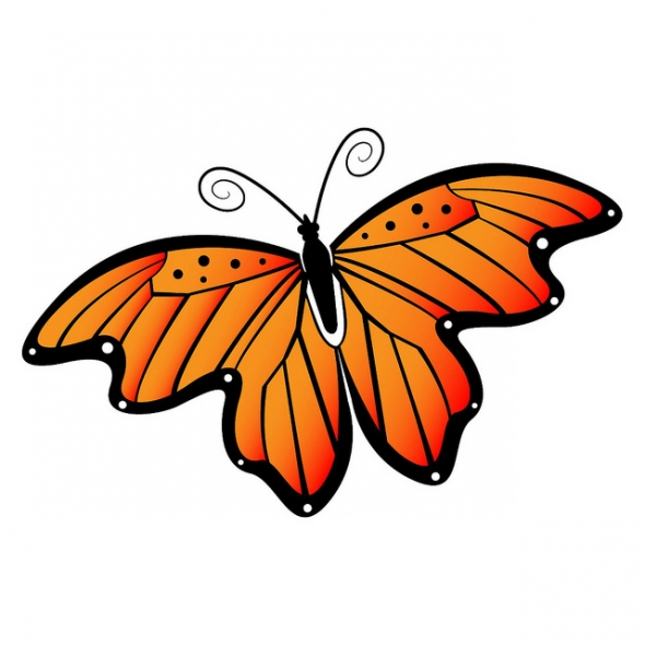 Free Butterfly Clipart Black And White | Clipart Panda - Free ...