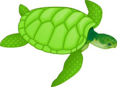 Green Sea Turtle Clip Art | Free Vector Download - Graphics ...
