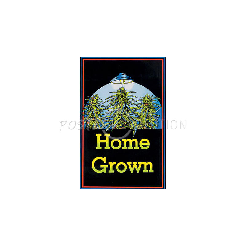 Home Grown (Pot Plants) Flocked Blacklight Poster Print - 24x36