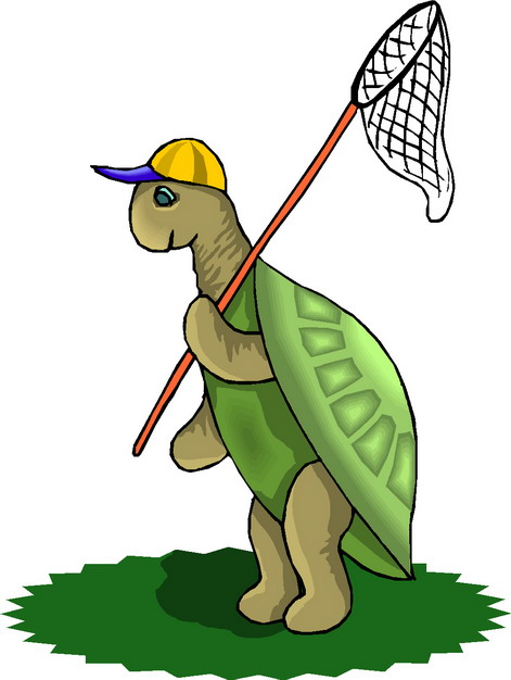 Funny Turtles Cartoon Animals Wallpaper Murals for Preschool ...